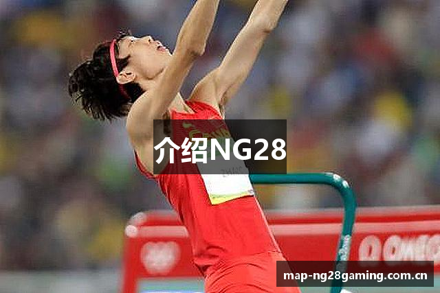 介绍NG28